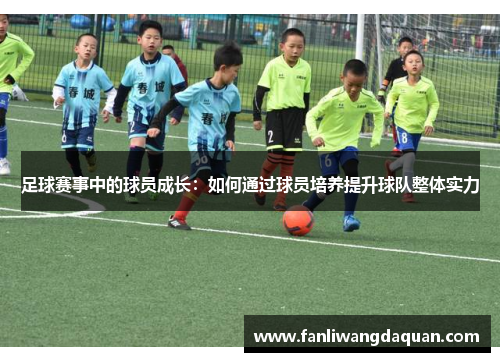 足球赛事中的球员成长：如何通过球员培养提升球队整体实力