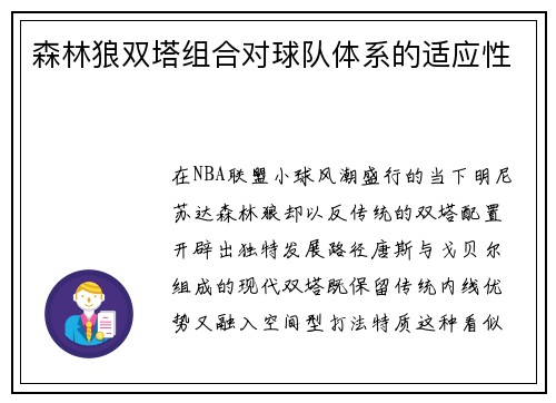 森林狼双塔组合对球队体系的适应性