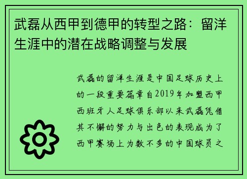 武磊从西甲到德甲的转型之路：留洋生涯中的潜在战略调整与发展