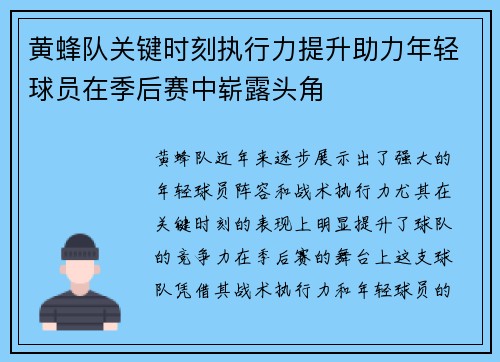 黄蜂队关键时刻执行力提升助力年轻球员在季后赛中崭露头角