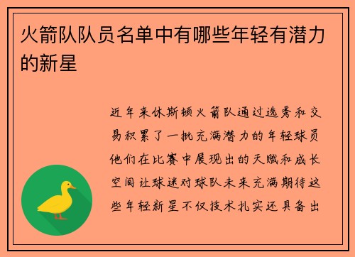 火箭队队员名单中有哪些年轻有潜力的新星